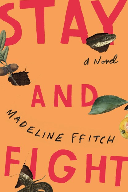 Stay and Fight, Madeline ffitch - Gebonden - 9780374268121