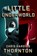 Little Underworld, Chris Harding Thornton - Gebonden - 9780374298333