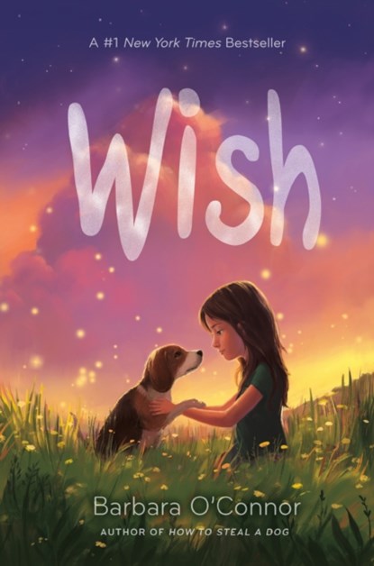 Wish, Barbara O'Connor - Gebonden - 9780374302733