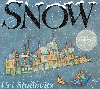 Snow, Uri Shulevitz - Paperback - 9780374468620