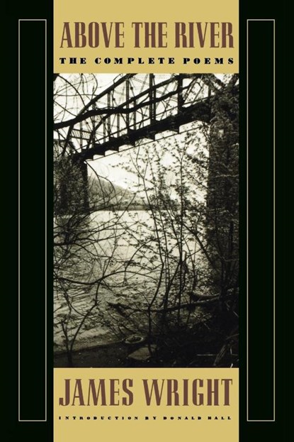 Above the River, James Wright - Paperback - 9780374522827