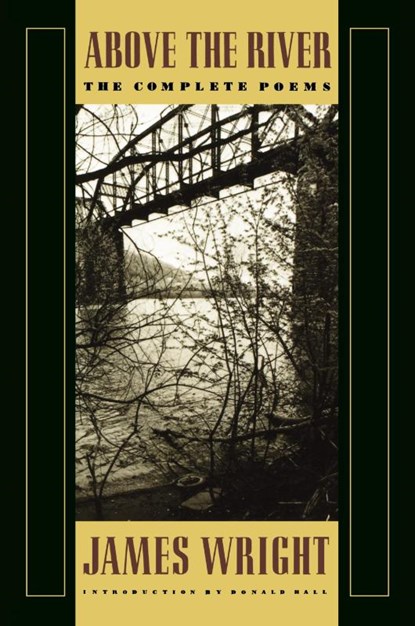 Above the River, James Wright - Paperback - 9780374522827