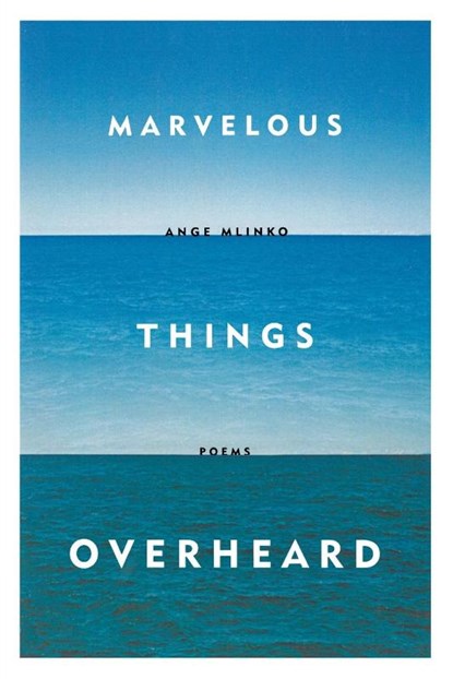 Marvelous Things Overheard, Ange Mlinko - Paperback - 9780374534806