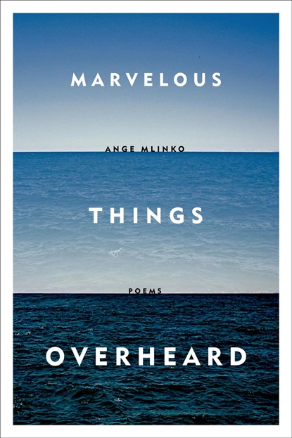 Marvelous Things Overheard, Ange Mlinko - Paperback - 9780374534806