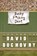 Bucky F*cking Dent, David Duchovny - Paperback - 9780374536800