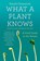 What a Plant Knows, Daniel Chamovitz - Paperback - 9780374537128