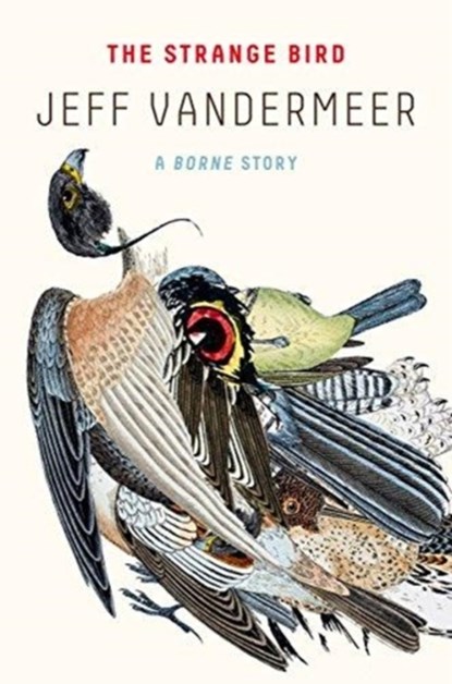 The Strange Bird, Jeff VanderMeer - Paperback - 9780374537920