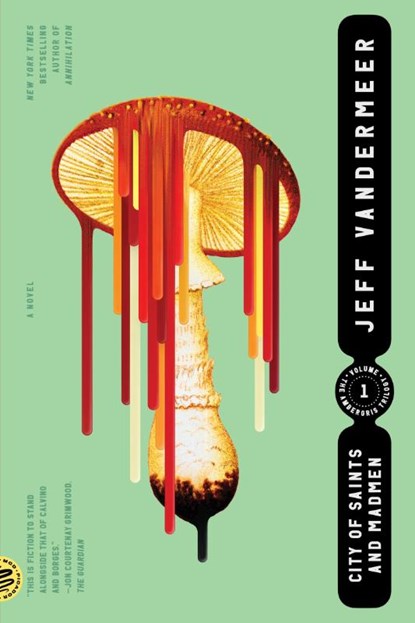 City of Saints and Madmen, Jeff Vandermeer - Paperback - 9780374538606