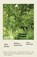 Walking Backwards, KOETHE JOHN KOETHE - Paperback - 9780374538705