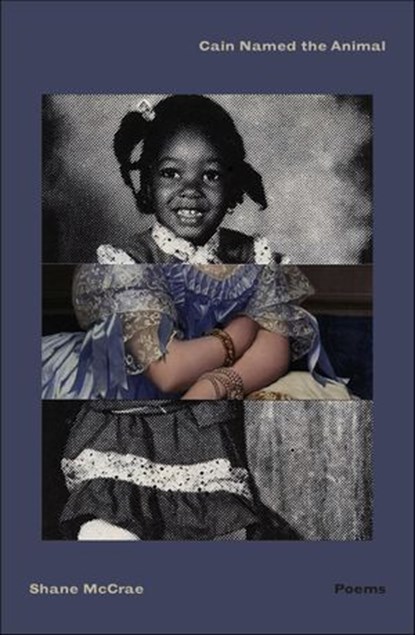 Cain Named the Animal, Shane McCrae - Ebook - 9780374602864