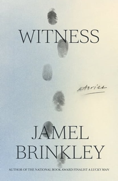 Witness, Jamel Brinkley - Ebook - 9780374607043