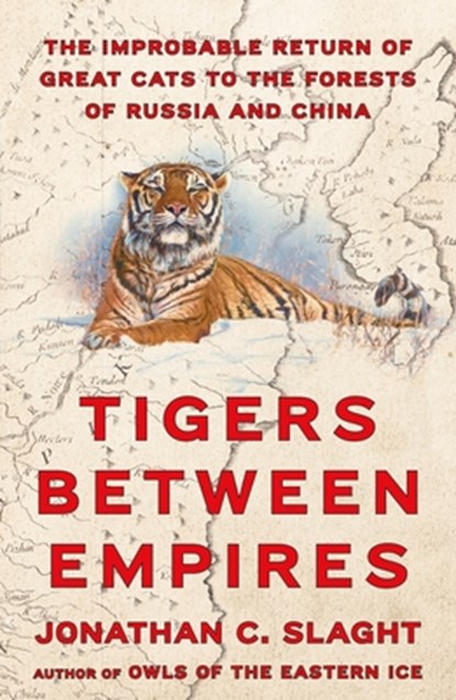Tigers Between Empires: The Improbable Return of Great Cats to the Forests of Russia and China, Jonathan C. Slaght - Gebonden - 9780374610982
