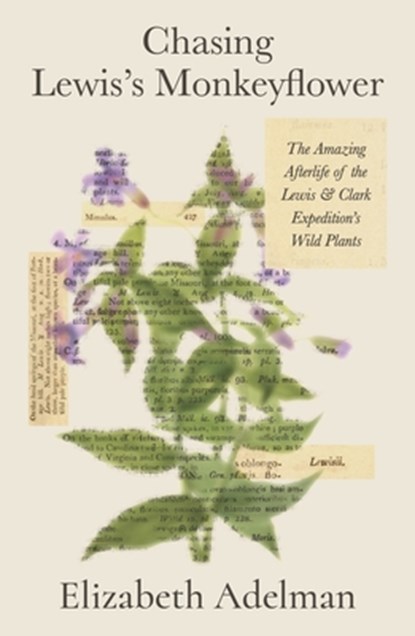 Chasing Lewis's Monkeyflower, Elizabeth Adelman - Gebonden - 9780374615024