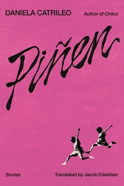 Pinen, Daniela Catrileo - Paperback - 9780374616564