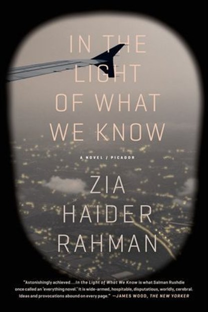 In the Light of What We Know, Zia Haider Rahman - Ebook - 9780374710088