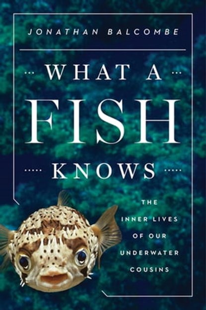 What a Fish Knows, Jonathan Balcombe - Ebook - 9780374714338
