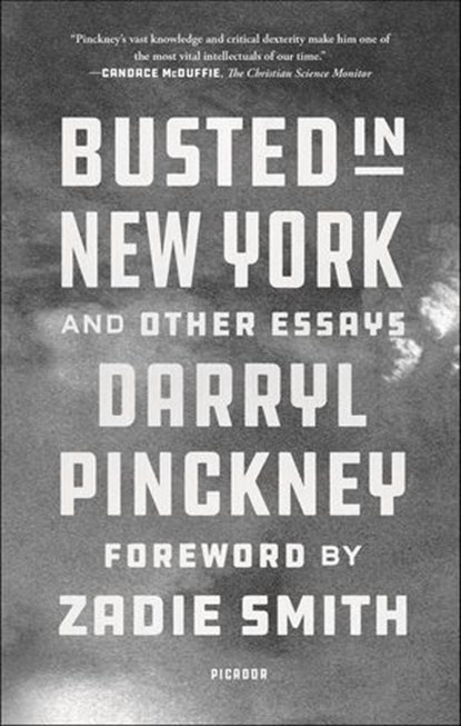 Busted in New York and Other Essays, Darryl Pinckney - Ebook - 9780374717148