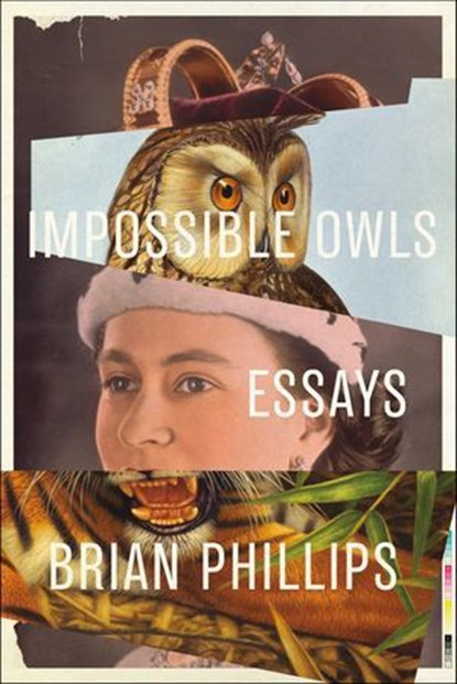 Impossible Owls, Brian Phillips - Ebook - 9780374717704