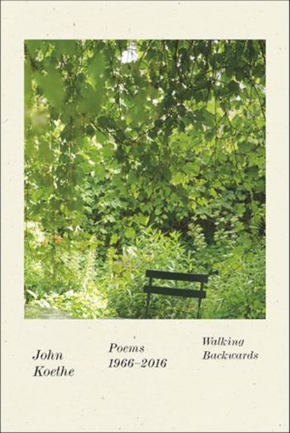 Walking Backwards, John Koethe - Ebook - 9780374719197