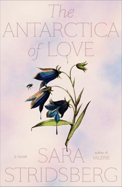 The Antarctica of Love, Sara Stridsberg - Ebook - 9780374720629