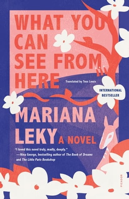 What You Can See from Here, Mariana Leky - Ebook - 9780374720636