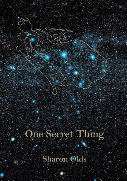 One Secret Thing, Sharon Olds - Paperback - 9780375711770