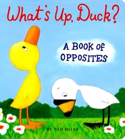 What's Up, Duck?, Tad Hills - Ebook - 9780375988585