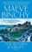 The Return Journey, Maeve Binchy - Paperback - 9780385341790