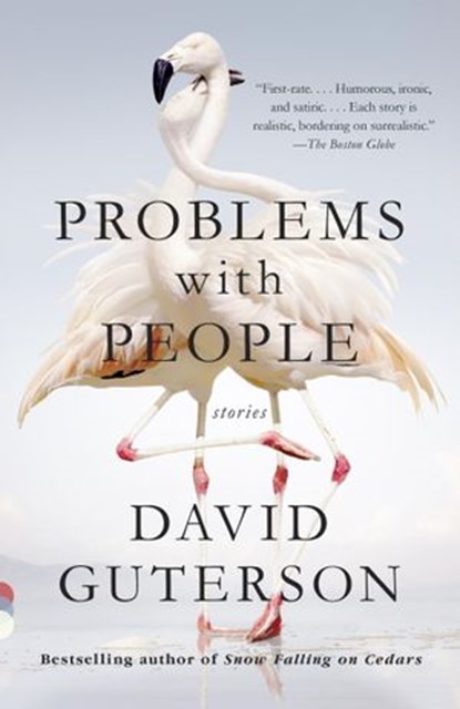 Problems with People, David Guterson - Ebook - 9780385351492
