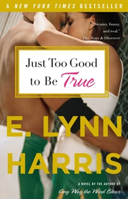 Just Too Good to Be True, E. Lynn Harris - Paperback - 9780385492737