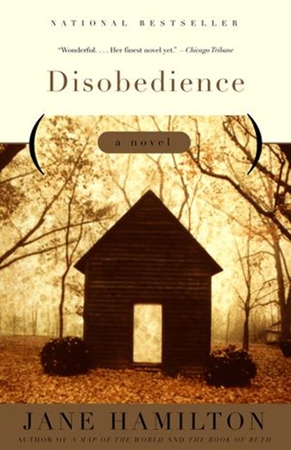 Disobedience, Jane Hamilton - Ebook - 9780385721752