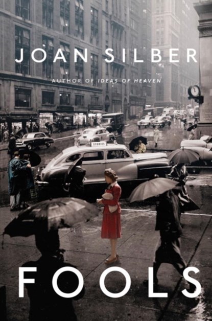 Fools, Joan Silber - Gebonden - 9780393088700