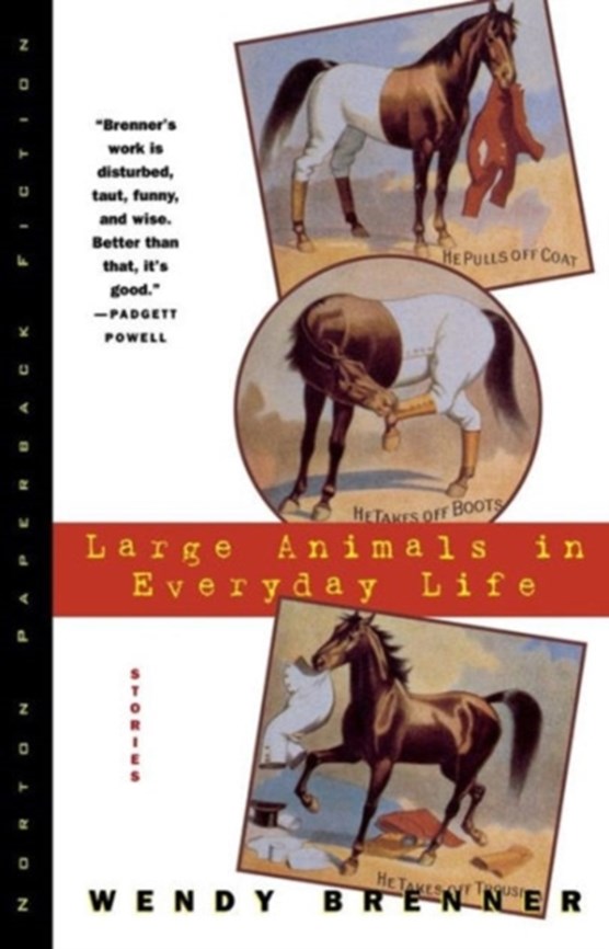 Large Animals in Everyday Life