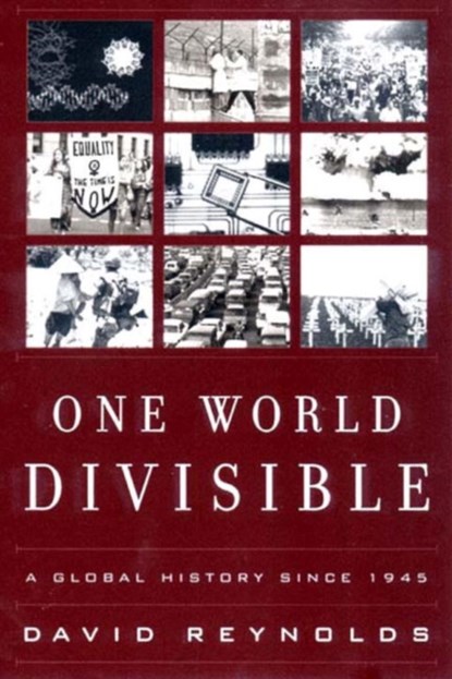 One World Divisible, DAVID (FELLOW,  Christ's College, Cambridge) Reynolds - Paperback - 9780393321081