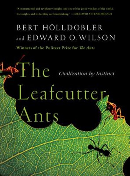 The Leafcutter Ants, Bert Holldobler ; Edward O. (Harvard University) Wilson - Paperback - 9780393338683