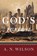 God's Funeral, A. N. Wilson - Paperback - 9780393342956