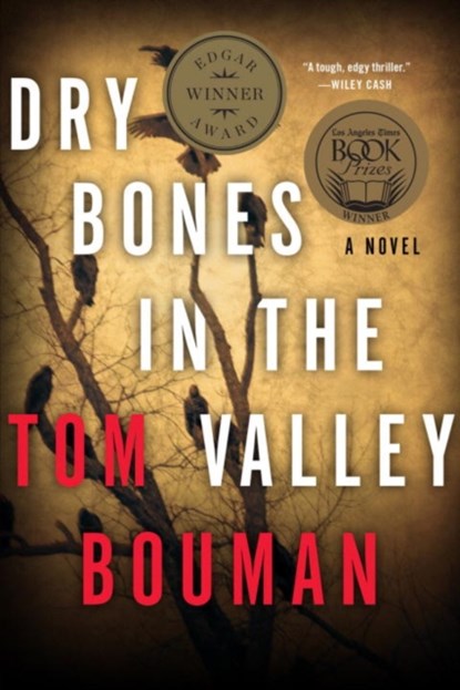 Dry Bones in the Valley - A Novel, Tom Hegarty Bouman - Paperback - 9780393350784