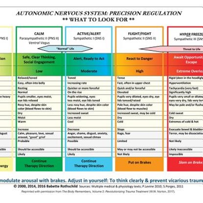Autonomic Nervous System Table: Laminated Card, Babette Rothschild - Losbladig - 9780393712803