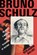 Bruno Schulz, Benjamin (Van Leer Institute) Balint - Gebonden - 9780393866575