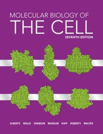 MOLECULAR BIOLOGY OF THE CELL, Bruce Alberts ;  Rebecca Heald ;  Alexander Johnson - Gebonden - 9780393884821