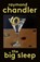 The Big Sleep, Raymond Chandler - Paperback - 9780394758282