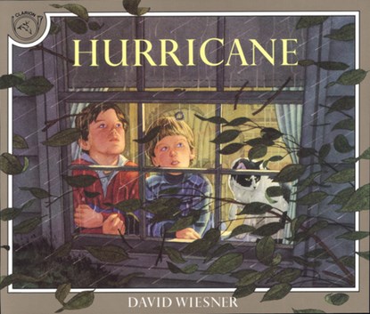 Hurricane, David Wiesner - Paperback - 9780395629741