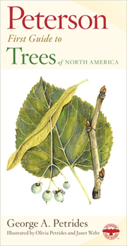 First Guide to Trees, Roger Tory Peterson - Paperback - 9780395911839