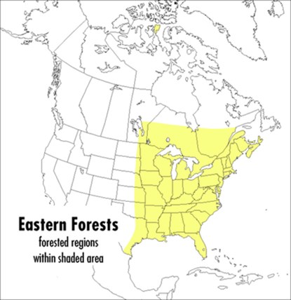 A Field Guide to Eastern Forests, North America, niet bekend - Paperback - 9780395928950