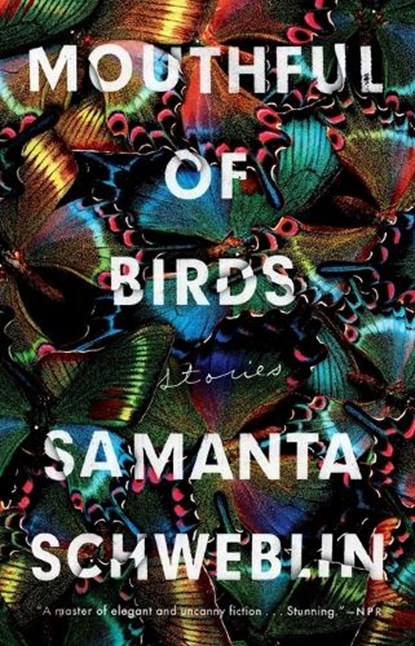 Mouthful of Birds, Samanta Schweblin - Paperback - 9780399184635