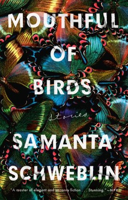 Mouthful of Birds, Samanta Schweblin - Ebook - 9780399184642