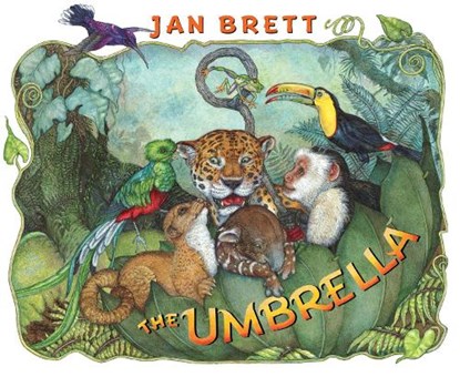 Brett, J: Umbrella, Jan Brett - Gebonden - 9780399242151
