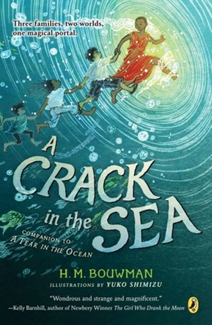 A Crack in the Sea, H. M. Bouwman - Ebook - 9780399545207