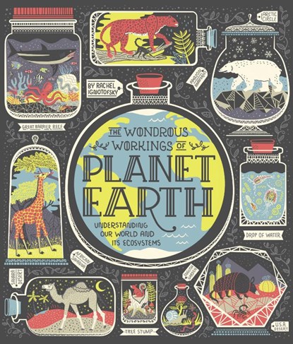 The Wondrous Workings of Planet Earth, Rachel Ignotofsky - Gebonden - 9780399580413
