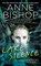 Lake Silence, Anne Bishop - Paperback - 9780399587269